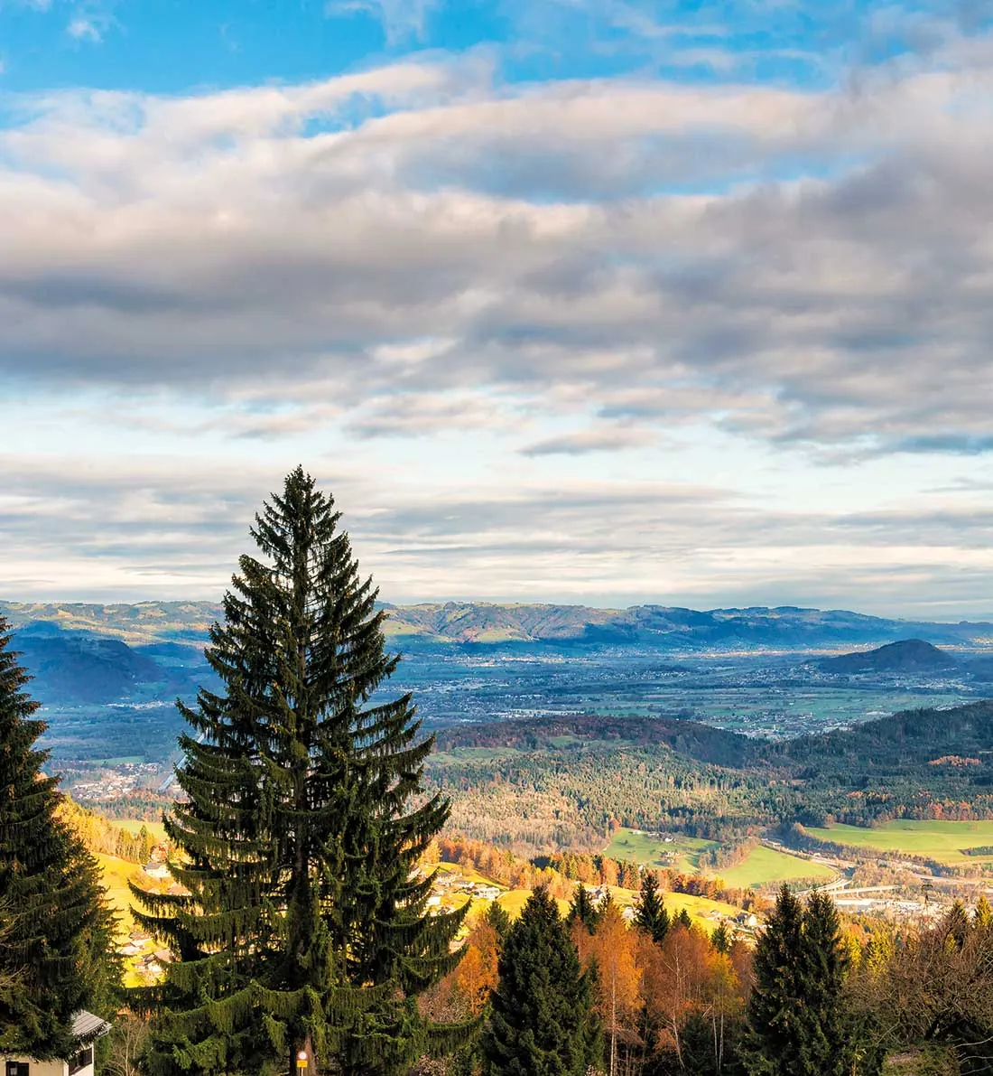 Blick von der Bazora über das Rheintal bis zum Bodensee